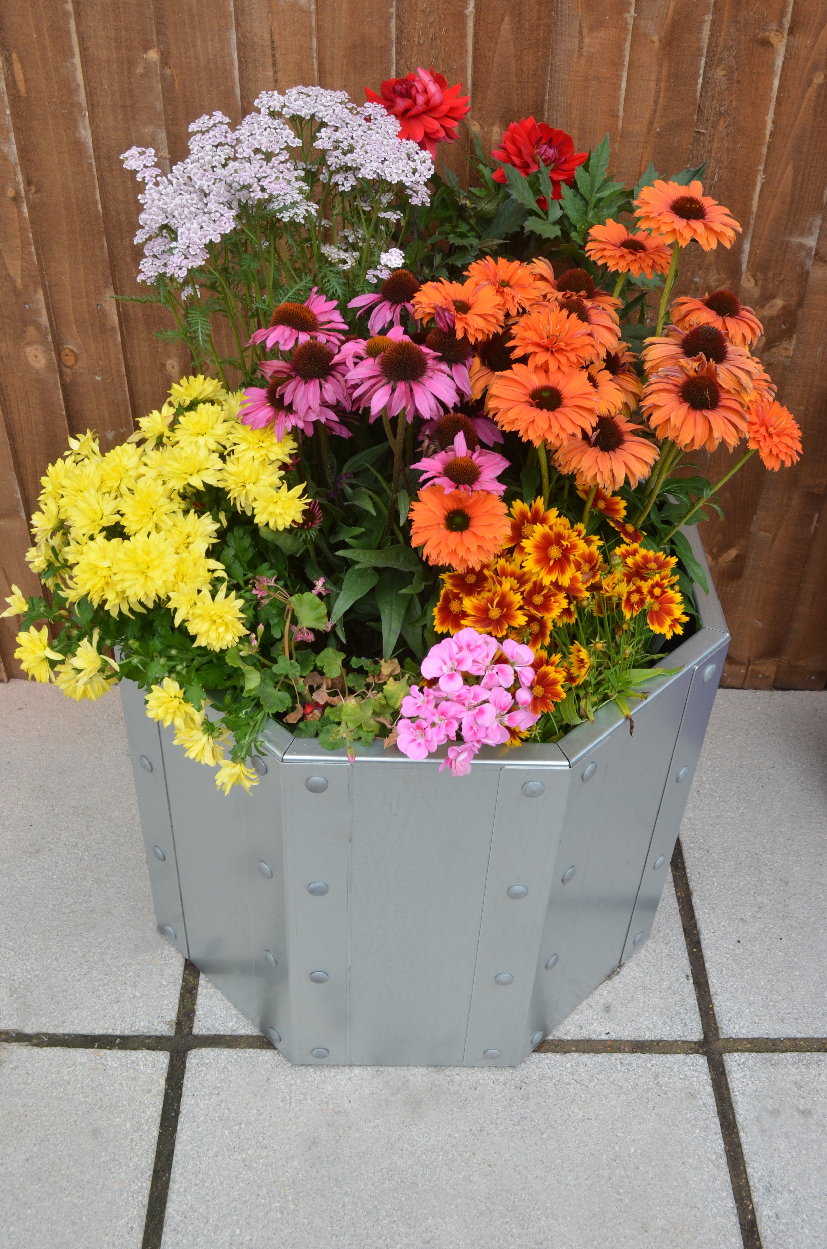 Raised Planter The Royston